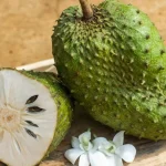 Soursop fruit: discover their properties and consider them in your industry