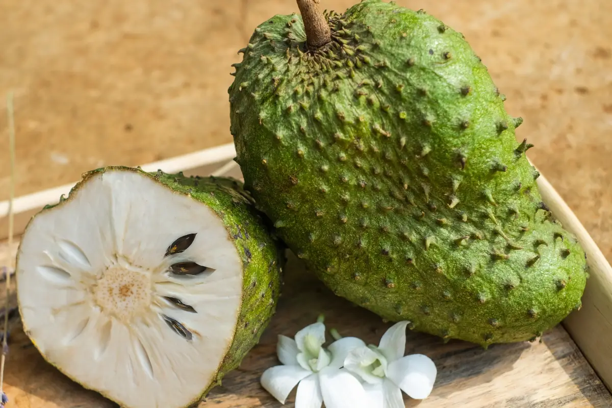 You are currently viewing Soursop fruit: discover their properties and consider them in your industry