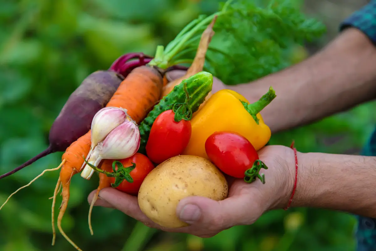 En este momento estás viendo Sostenibilidad alimentaria: retos y estrategias para alcanzarla